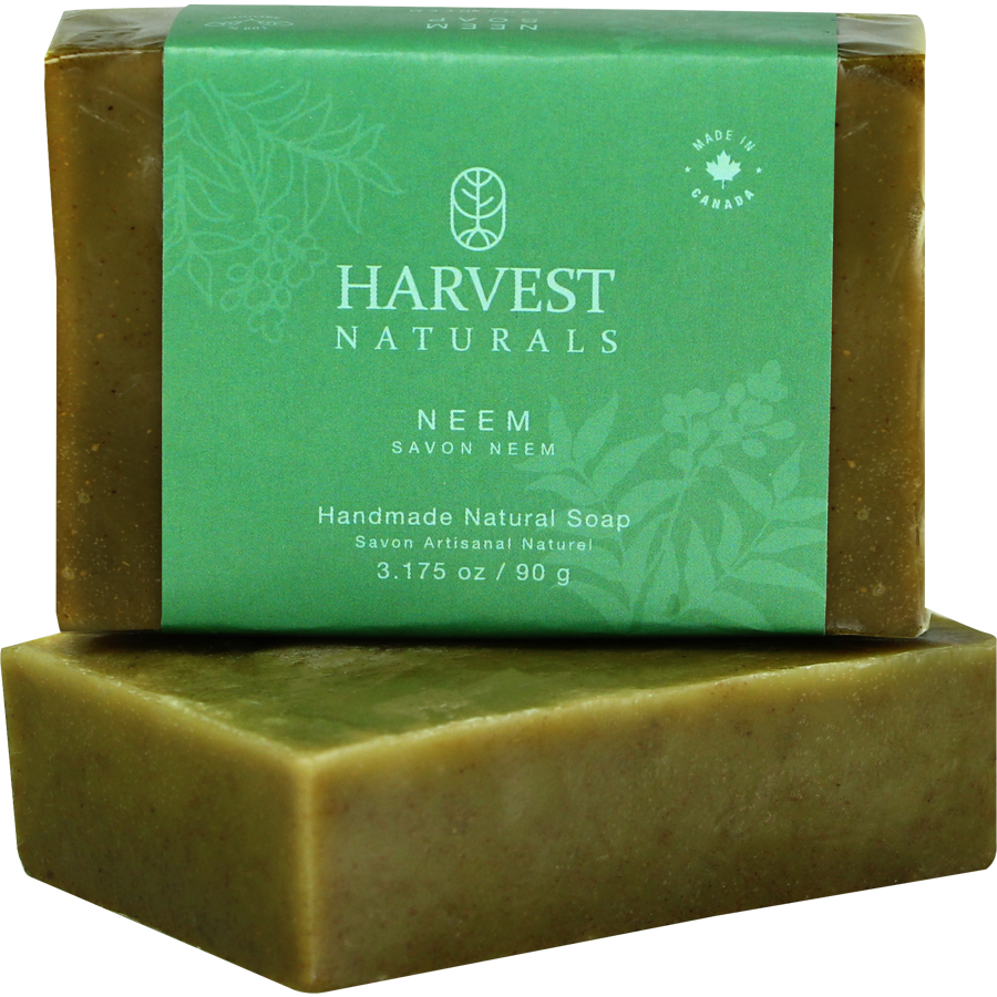 Ashwagangha Soap